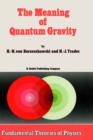 Image for The Meaning of Quantum Gravity
