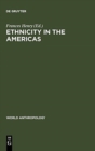 Image for Ethnicity in the Americas