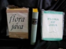 Image for Flora of Java