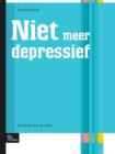 Image for Niet Meer Depressief : Werkboek Voor de Cli?nt