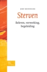 Image for Sterven: Beleven, verwerking, begeleiding