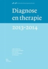 Image for Diagnose en Therapie 2013-2014