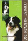 Image for BURMESE MOUNTAIN DOG