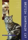 Image for British shorthair cat