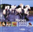 Image for HORSES 1001 PHOTOS