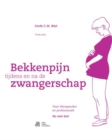 Image for Bekkenpijn tijdens en na de zwangerschap - professional