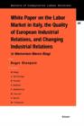 Image for White Paper on the Labour Market in Italy, the Quality of European Industrial Relations, and Changing Industrial Relations : In Memoriam Marco Biagi