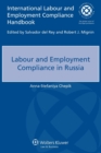 Image for Labour and Employment Compliance in Russia