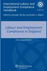 Image for International labour and employment compliance handbook: Labour and employment compliance in England