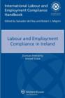 Image for Labour and Employment Compliance in Ireland