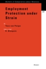 Image for Employment Protection under Strain