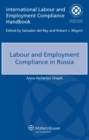 Image for Labour and Employment Compliance in Russia : 18