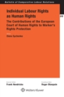 Image for Individual labour rights as human rights: the contributions of the European Court of Human Rights to worker&#39;s rights protection : 96