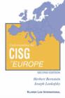 Image for Understanding the CISG in Europe