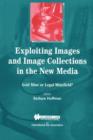 Image for Exploiting images and image collections in the new media  : gold mine of legal minefield?