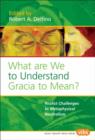 Image for What Are We to Understand Gracia to Mean?