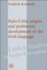 Image for Italo-Celtic Origins and Prehistoric Development of the Irish Language