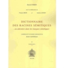 Image for Dictionnaire des racines semitiques Fascicule 8