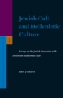 Image for Jewish cult and Hellenistic culture: essays on the Jewish encounter with Hellenism and Roman rule