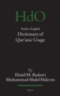 Image for Arabic-English dictionary of Qur&#39;anic usage : v. 85