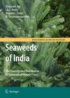 Image for Seaweeds of India: the diversity and distribution of seaweeds of the Gujarat coast : 3
