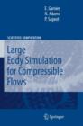 Image for Large Eddy Simulation for Compressible Flows