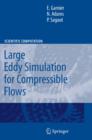 Image for Large eddy simulation for compressible flows