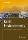 Image for Karst environments  : karren formation in high mountains
