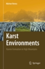 Image for Karst environments: karren formation in high mountains