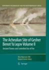 Image for The Acheulian Site of Gesher Benot Ya’aqov Volume II
