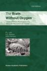 Image for The Brain Without Oxygen