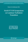 Image for Sixth IUTAM Symposium on Laminar-Turbulent Transition