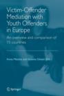 Image for Victim-Offender Mediation with Youth Offenders in Europe : An Overview and Comparison of 15 Countries