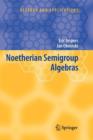Image for Noetherian Semigroup Algebras