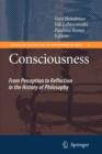Image for Consciousness : From Perception to Reflection in the History of Philosophy