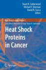 Image for Heat Shock Proteins in Cancer