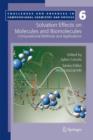 Image for Solvation Effects on Molecules and Biomolecules : Computational Methods and Applications