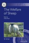 Image for The Welfare of Sheep