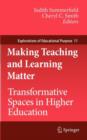 Image for Making teaching and learning matter: transformative spaces in higher education : v. 11