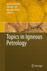 Image for Topics in igneous petrology