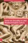 Image for Same-sex sexuality in later medieval English culture
