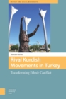 Image for Rival Kurdish Movements in Turkey: Transforming Ethnic Conflict