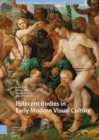 Image for Indecent bodies in early modern visual culture