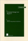 Image for European Energy Law Report V