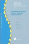 Image for Fundamental Social Rights in Europe: Challenges and Opportunities