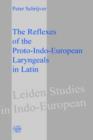 Image for The Reflexes of the Proto-Indo-European Laryngeals in Latin