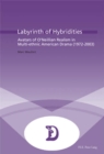 Image for Labyrinth of Hybridities