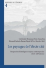 Image for Les Paysages de l&#39;Electricite : Perspectives Historiques Et Enjeux Contemporains (Xixe-Xxie Siecles)
