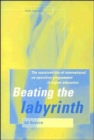 Image for Beating the labyrinth  : the sustainability of international cooperation programmes in higher education