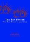 Image for The Sea Urchin : Proceedings of the Workshop at the International Marine Centre, Torregrande, Sardinia, ITaly 2000
